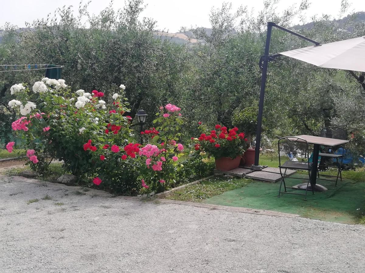 B&B Ripalta Sogliano al Rubicone Exterior photo