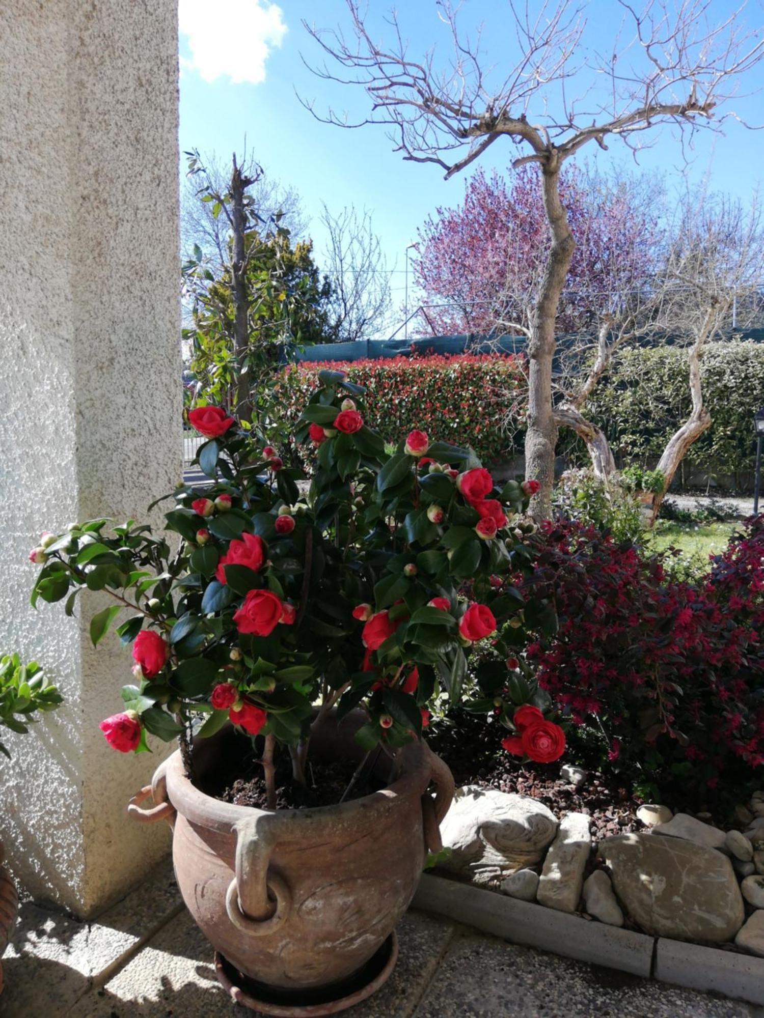 B&B Ripalta Sogliano al Rubicone Exterior photo