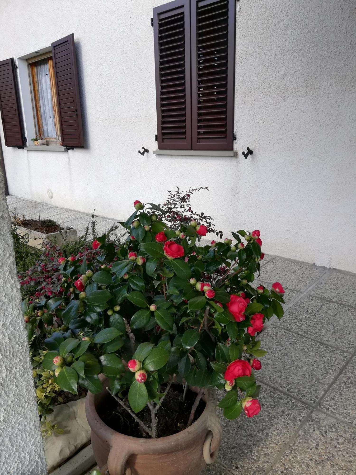 B&B Ripalta Sogliano al Rubicone Exterior photo