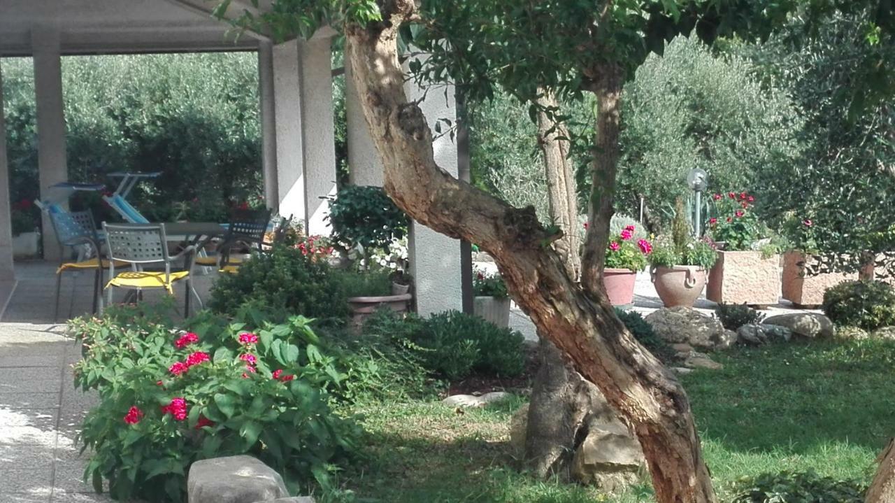 B&B Ripalta Sogliano al Rubicone Exterior photo