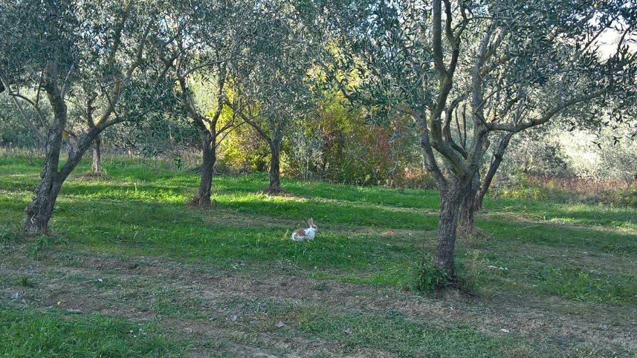 B&B Ripalta Sogliano al Rubicone Exterior photo