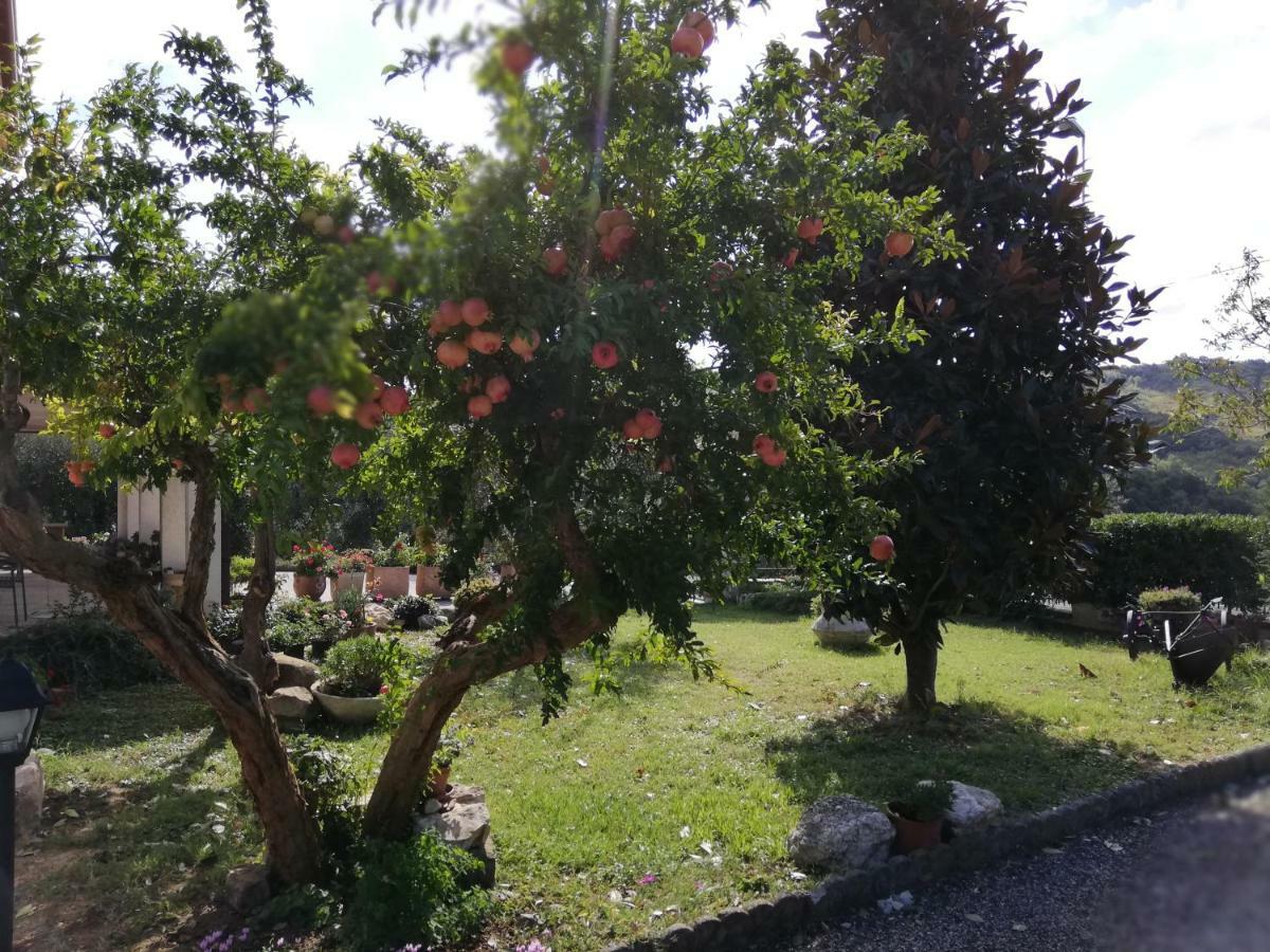 B&B Ripalta Sogliano al Rubicone Exterior photo